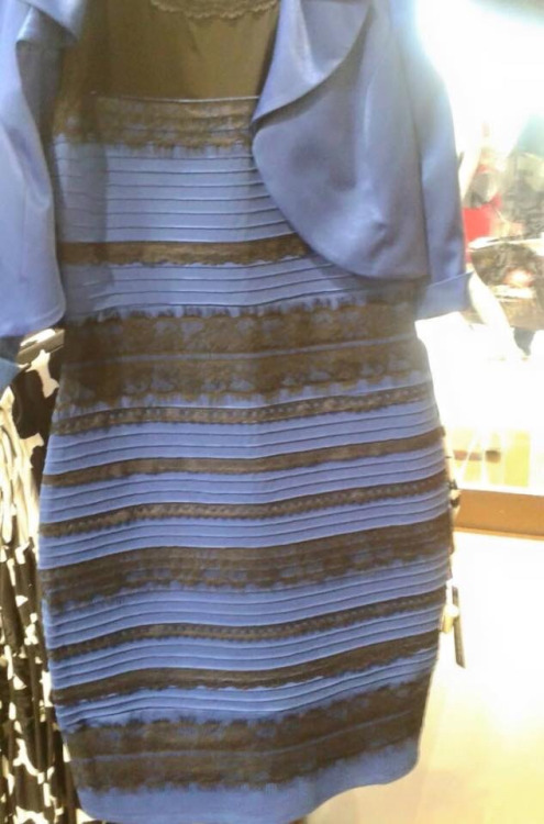 that-dress-gold-white-blue-black